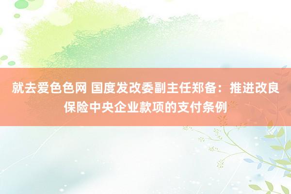 就去爱色色网 国度发改委副主任郑备：推进改良保险中央企业款项的支付条例