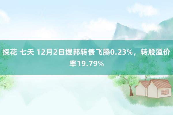 探花 七天 12月2日煜邦转债飞腾0.23%，转股溢价率19.79%