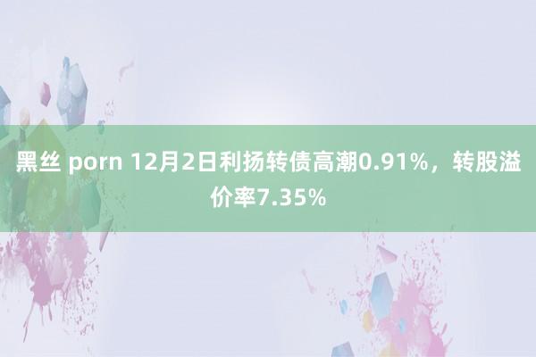 黑丝 porn 12月2日利扬转债高潮0.91%，转股溢价率7.35%