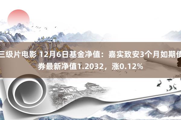 三级片电影 12月6日基金净值：嘉实致安3个月如期债券最新净值1.2032，涨0.12%