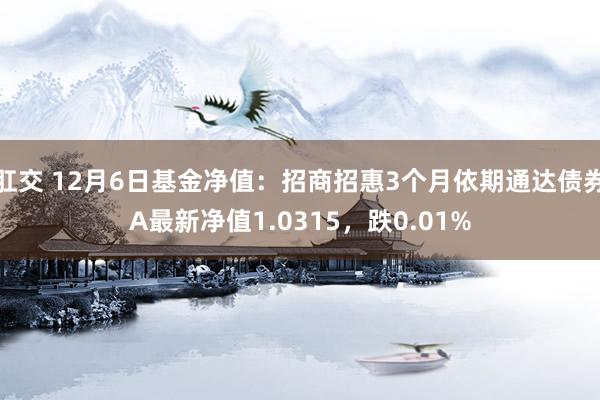肛交 12月6日基金净值：招商招惠3个月依期通达债券A最新净值1.0315，跌0.01%