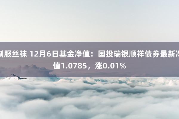 制服丝袜 12月6日基金净值：国投瑞银顺祥债券最新净值1.0785，涨0.01%