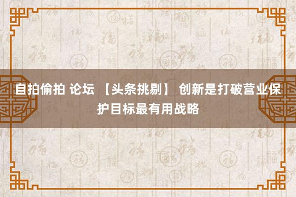 自拍偷拍 论坛 【头条挑剔】 创新是打破营业保护目标最有用战略