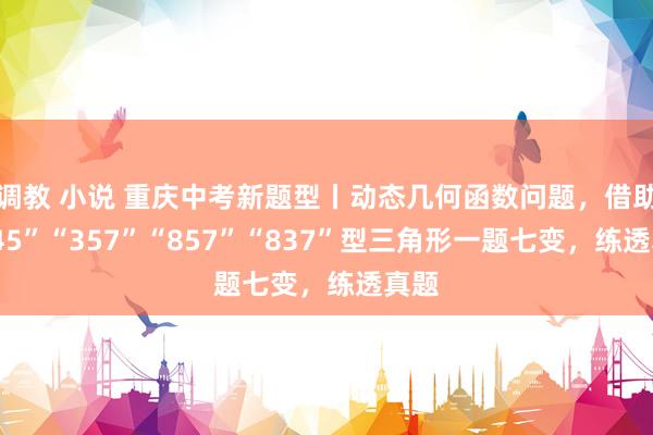 调教 小说 重庆中考新题型丨动态几何函数问题，借助“345”“357”“857”“837”型三角形一题七变，练透真题
