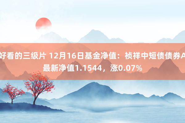 好看的三级片 12月16日基金净值：祯祥中短债债券A最新净值1.1544，涨0.07%