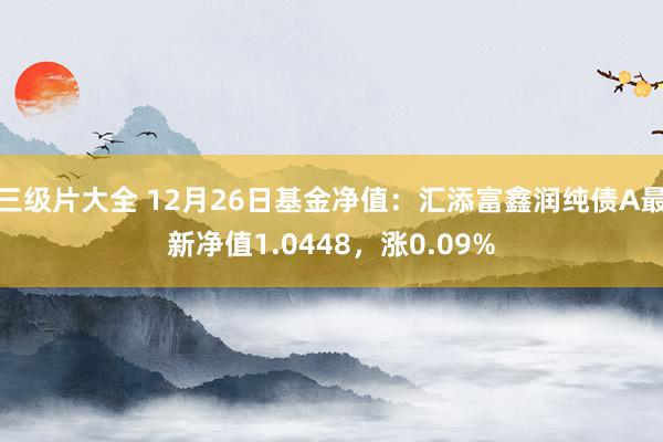 三级片大全 12月26日基金净值：汇添富鑫润纯债A最新净值1.0448，涨0.09%