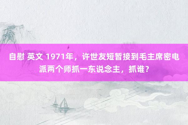 自慰 英文 1971年，许世友短暂接到毛主席密电派两个师抓一东说念主，抓谁？