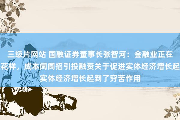 三级片网站 国融证券董事长张智河：金融业正在呈现新的业态花样，成本阛阓招引投融资关于促进实体经济增长起到了穷苦作用
