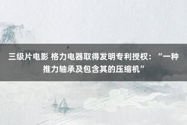三级片电影 格力电器取得发明专利授权：“一种推力轴承及包含其的压缩机”