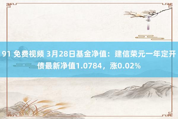 91 免费视频 3月28日基金净值：建信荣元一年定开债最新净值1.0784，涨0.02%